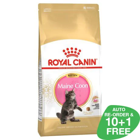 Royal Canin Maine Coon Kitten 2kg