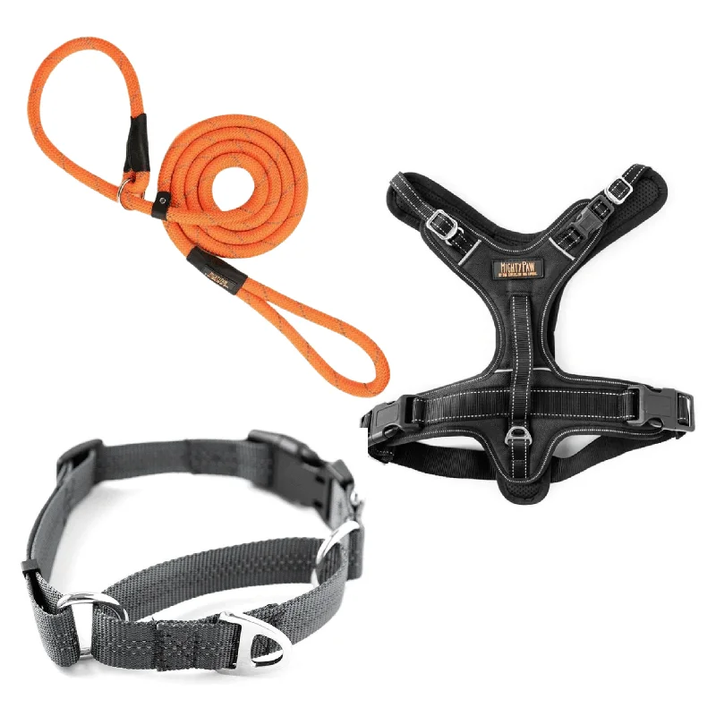 Mighty Paw Shelter Dog Gear Bundle: Collar, Leash, & Harness