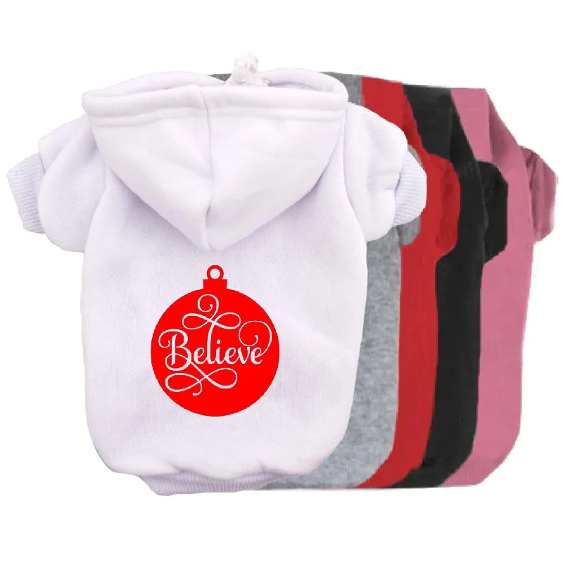 Believe Ornament Pet Hoodie