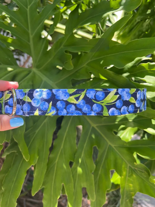 Blueberry Dog Collar