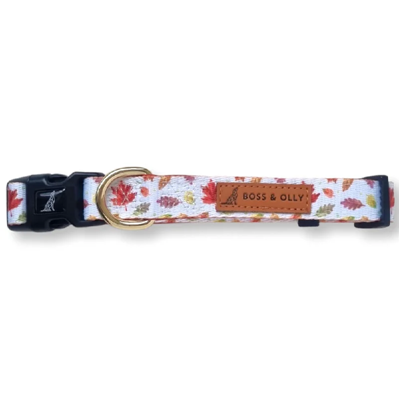 Boss & Olly Dog Collar (Autumn Leaves)