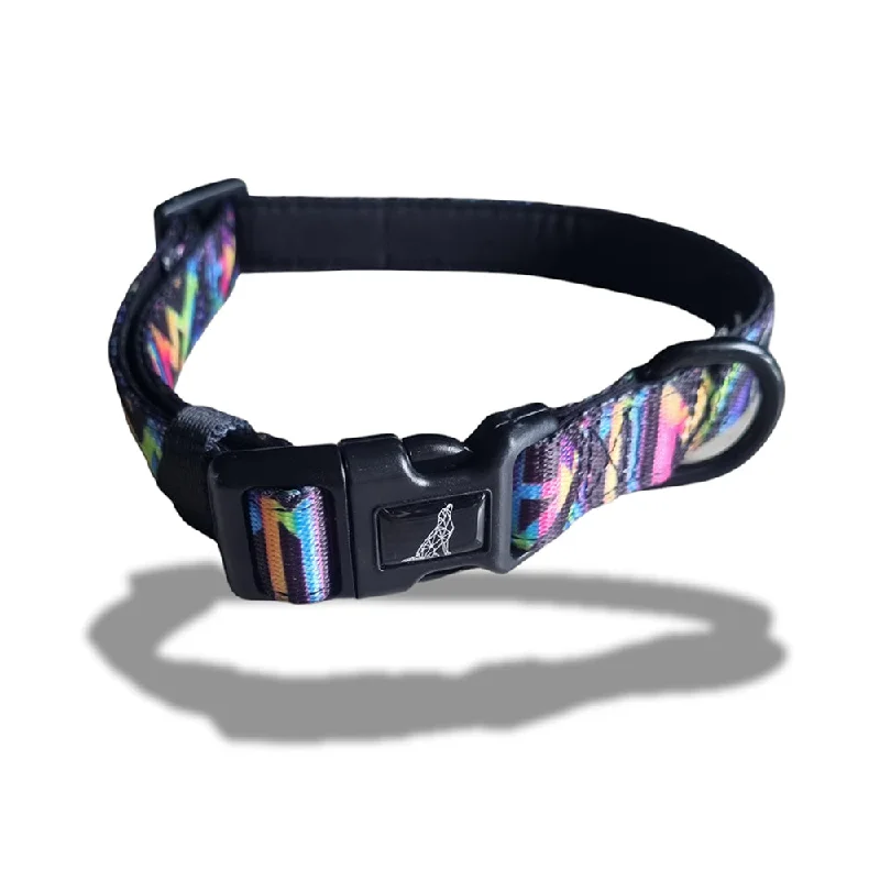 Boss & Olly Dog Collar (Aztec Rainbow)