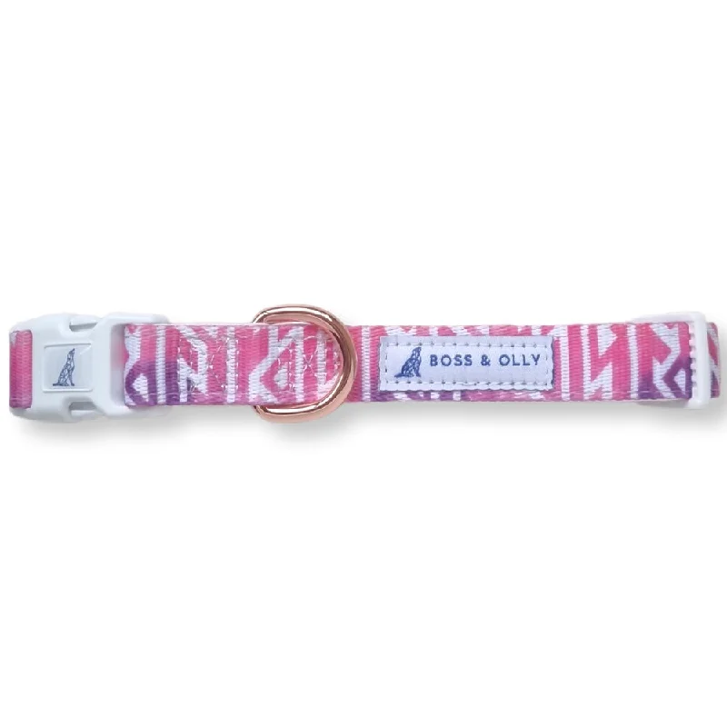 Boss & Olly Dog Collar (Fruity Sorbet)