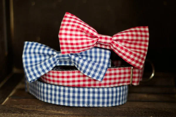 Bow Tie Collar, Gingham: Red or Blue