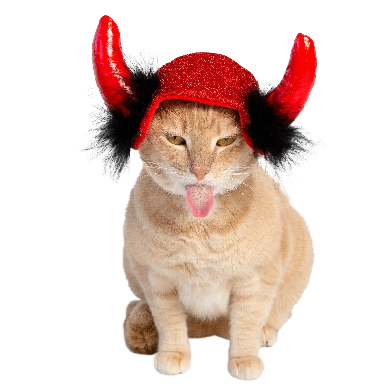 Cat Devil Hat