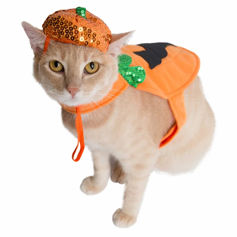 Halloween Pumpkin Cat Costume