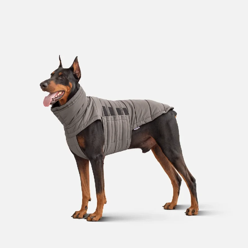 Winter Jacket for Dogs Bobby Grey