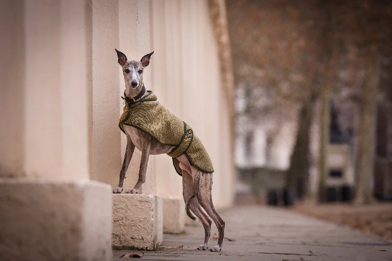 Tweed Whippet Coat