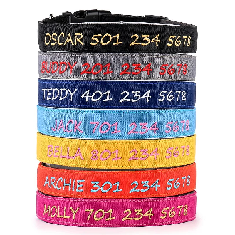 Designer Range - Personalized Dog Collar NEW - Padded & Classy