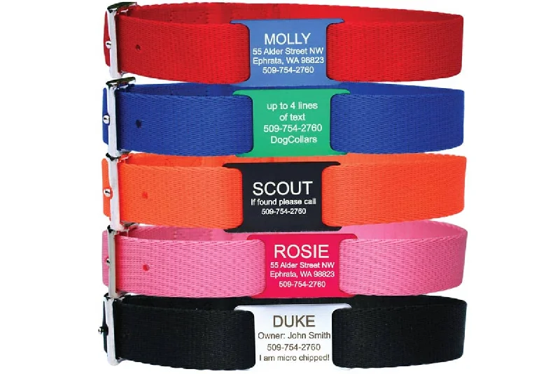 Dog Collar with Personalized Slide-On Nameplate