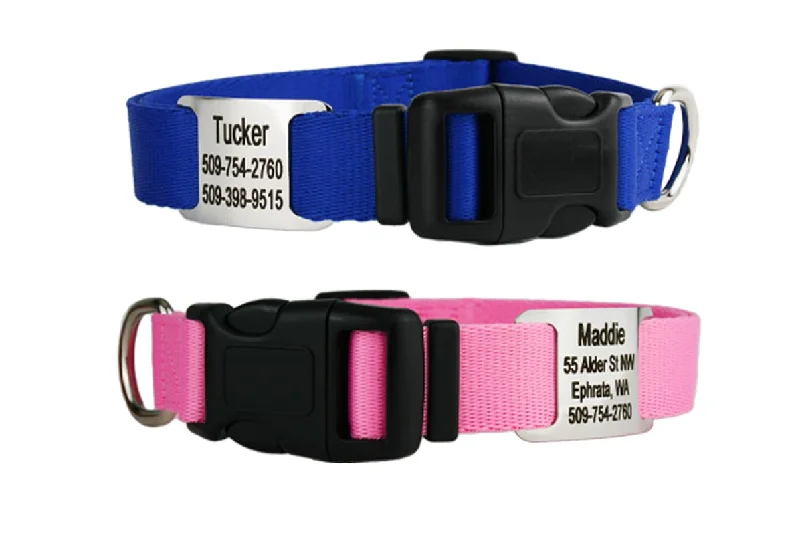 Dog Collar with Personalized Slide-On Nameplate in Stainless Steel