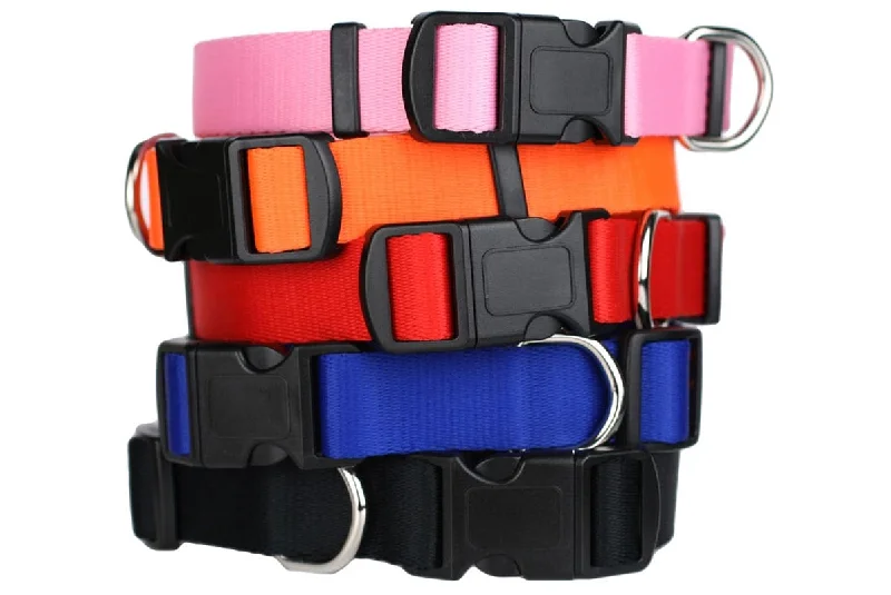 Dog Collar with Quick Release Buckle