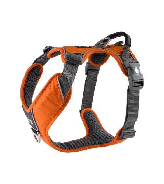 DOG Copenhagen Comfort Walk Pro Harness (Orange Sun)