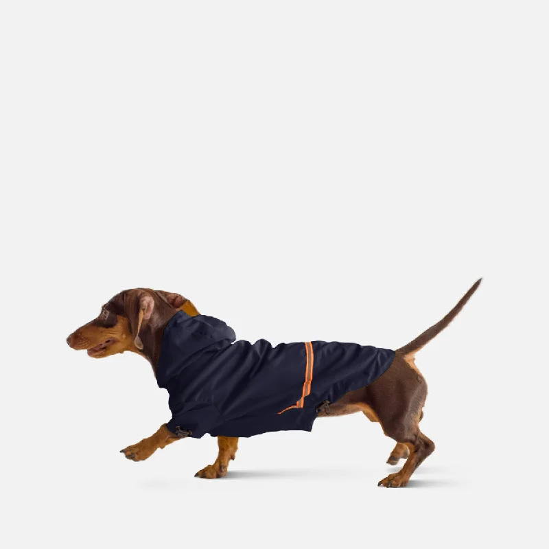 Raincoat for Dogs Moss Blue Dachshunds & Welsh corgi