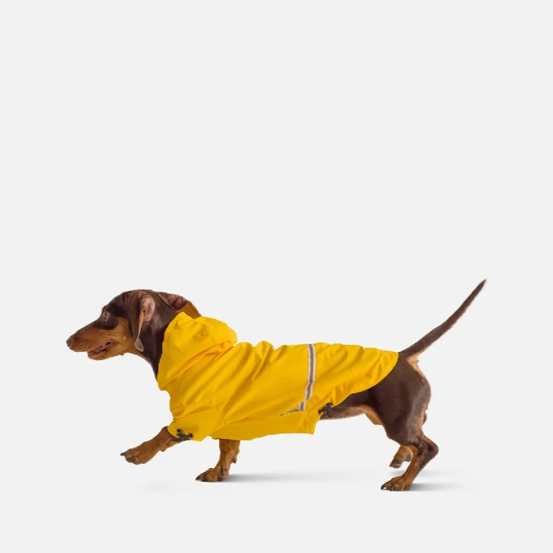 Raincoat for Dogs Moss Yellow Dachshunds & Welsh corgi