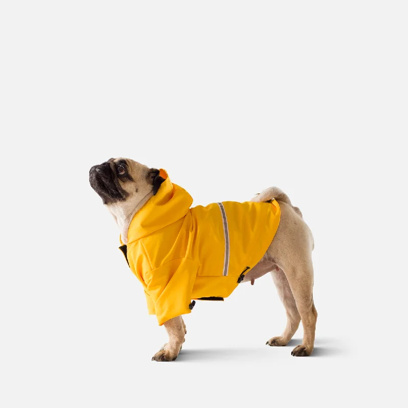 Raincoat for Dogs Moss Yellow  Pugs & French Bulldogs