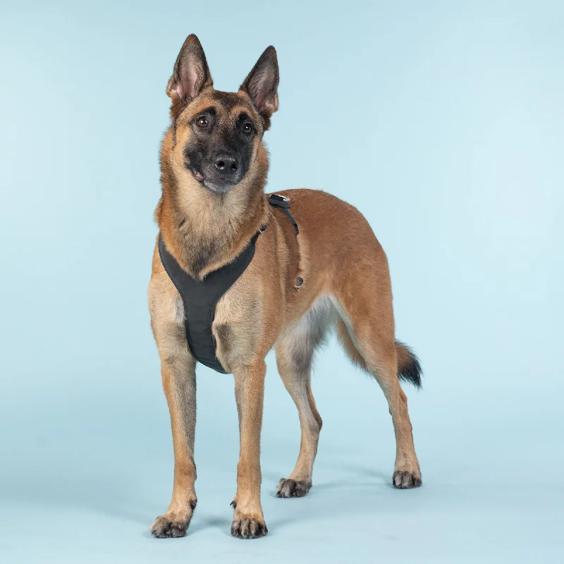 PAIKKA Dog Visibility Harness