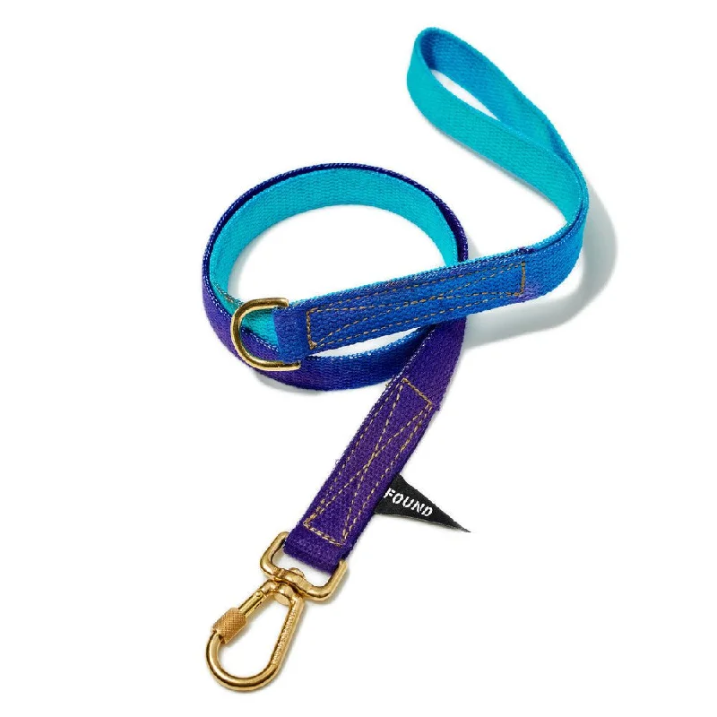 Egg Blue To Violet Cotton Dog Leash, Standard