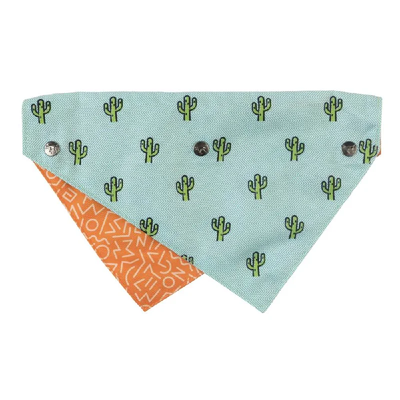 15% OFF: FuzzYard Pet Bandana (Tucson)