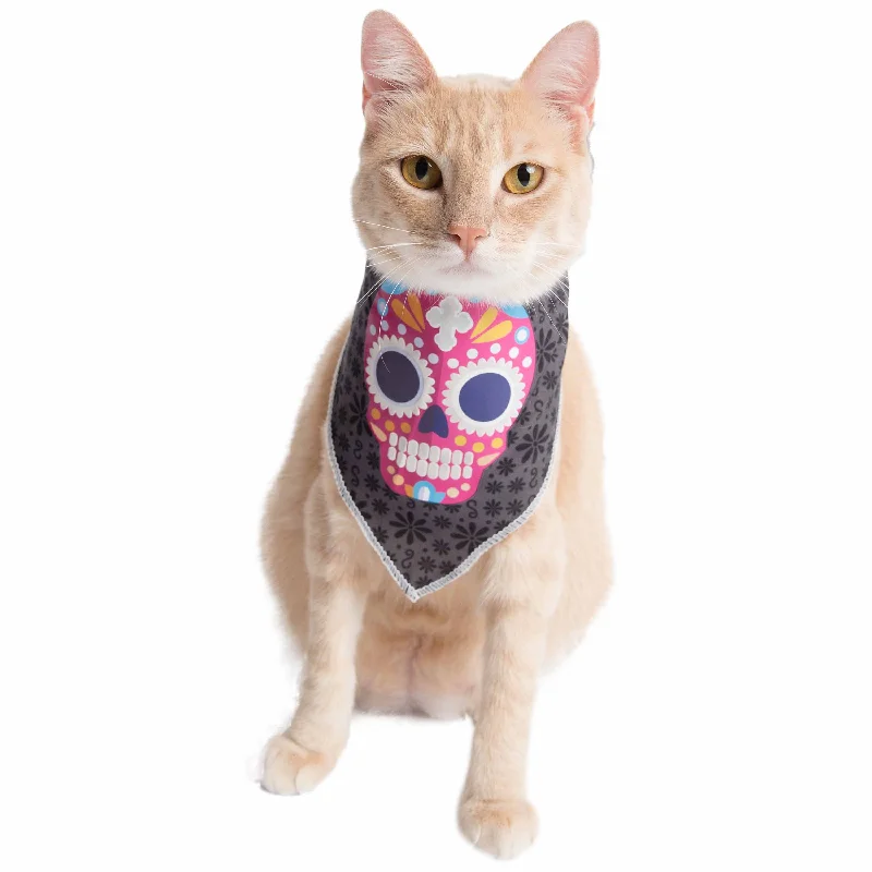 Glow-In-The-Dark Skull Cat Bandana