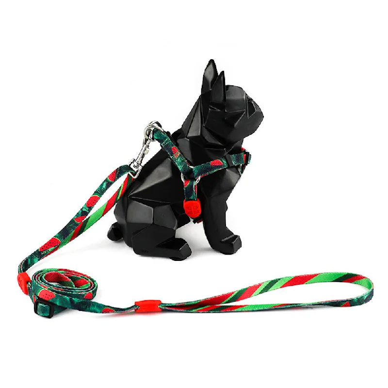 Hidream Profusion Y-Harness & Leash Set For Dogs (Watermelon) XS