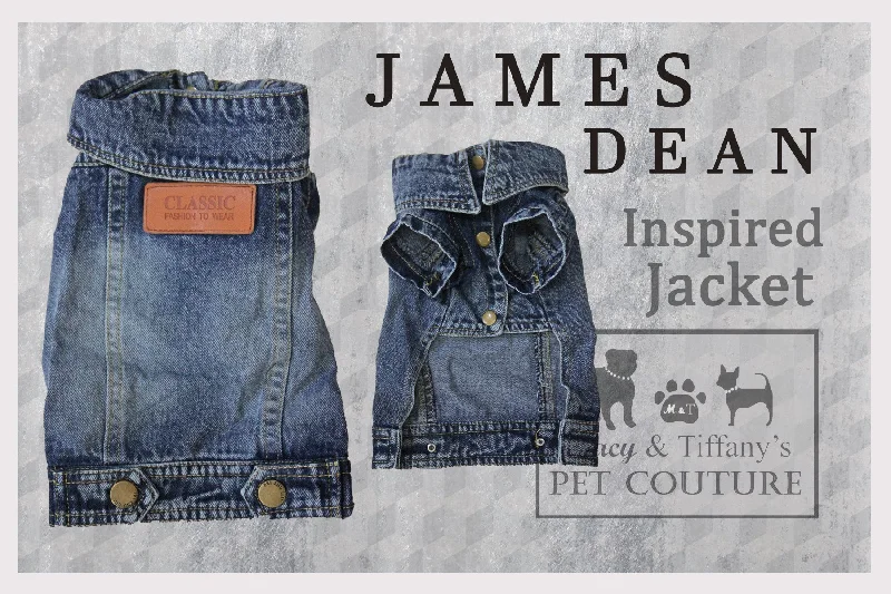 James Dean Inspired Pet Denim Jacket Outfit