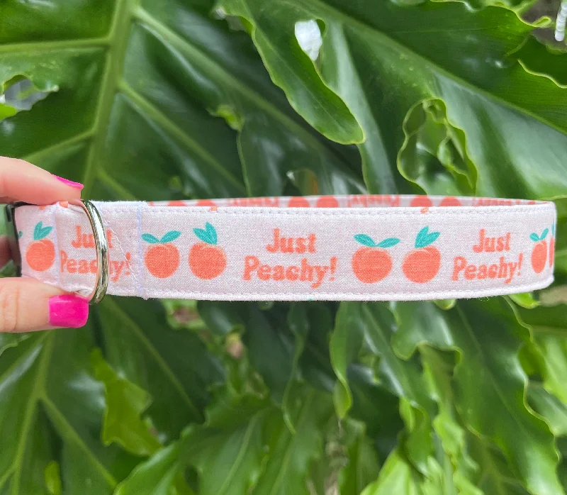 Just Peachy Dog Collar