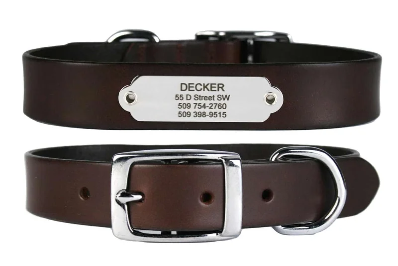 Leather Dog Collar with Stainless Steel Rivet-On Nameplate