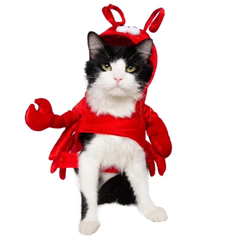 Lobster Cat Costume