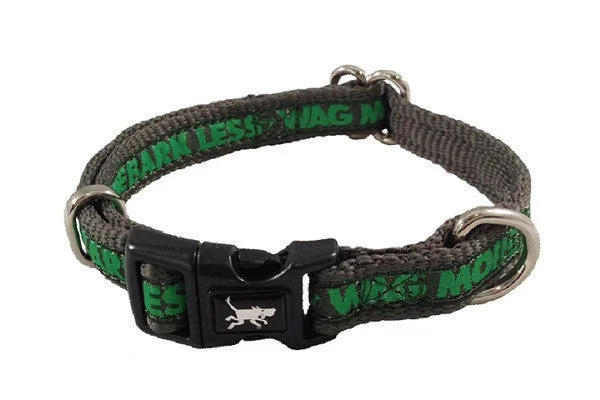 Logo Collars: Green/Charcoal