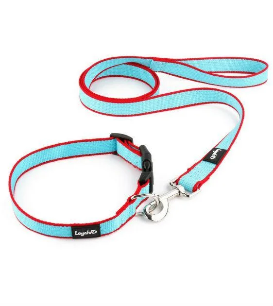 Loyal.D Bamboo Collar & Dog Leash Set (2 Colors)