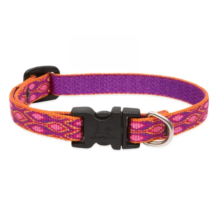 Lupine Pet Alpen Glow Dog Collars