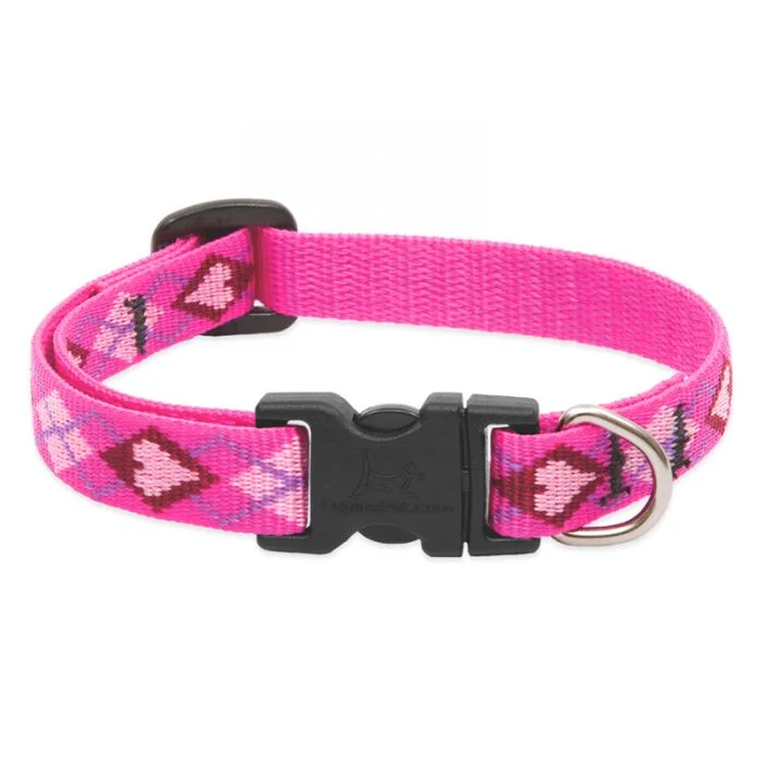 Lupine Pet Puppy Love Dog Collars