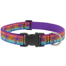 Lupine Pet Sunset Beach Dog Collars