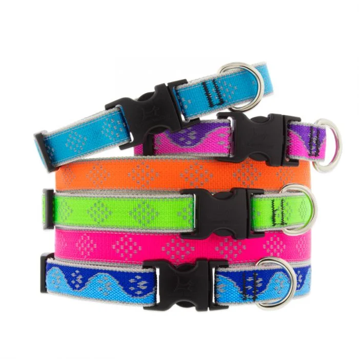 Lupine Pet Dog Reflective Collars & Lead