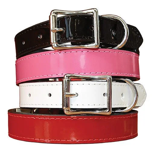 Auburn Manhattan Patent Leather Collar