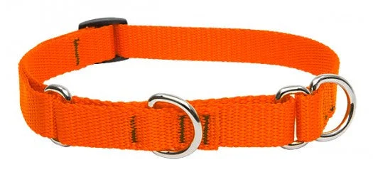 Medium Combo Collar 3/4" - Blaze Orange