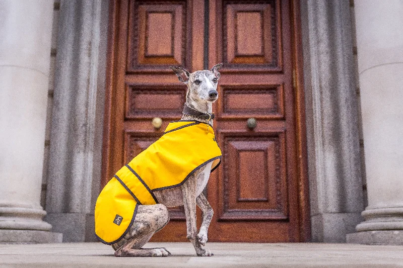 Mustard Wax Whippet Coat