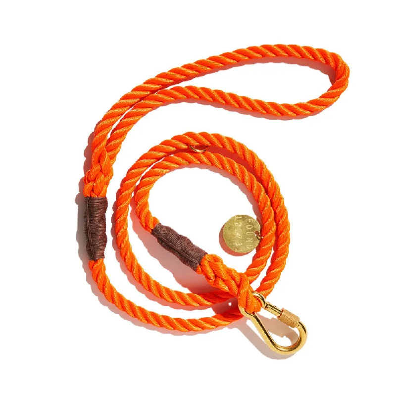 Orange Rope Dog Leash, Standard