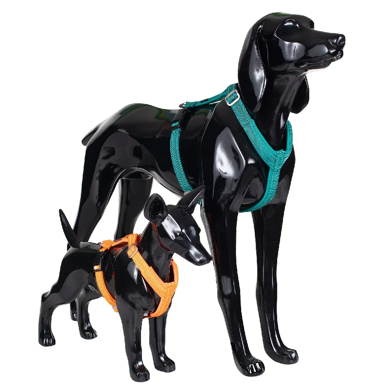 PAIKKA Dog Easy Harness