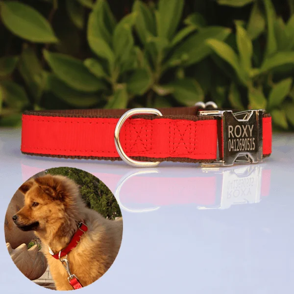 Personalised Collar - Laser Engraved, Metal Buckle, Nylon and Coloured Ribbon