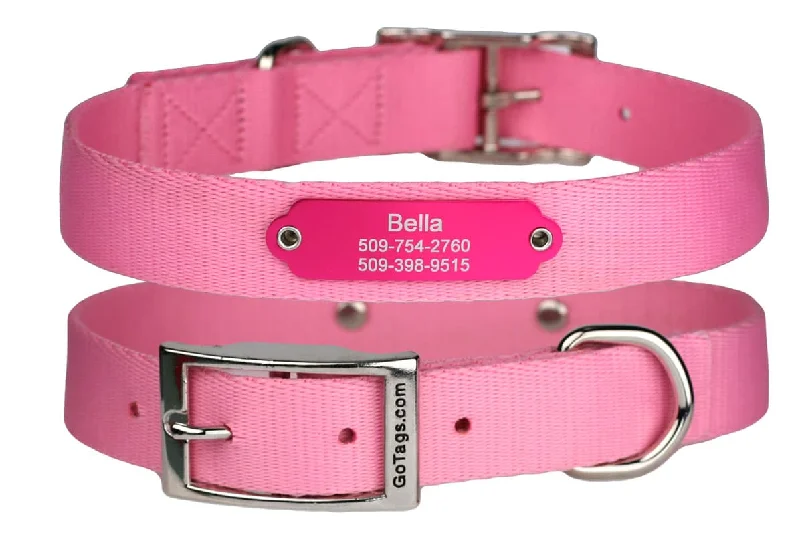 Dog Collars with Personalized Rivet-On Nameplate