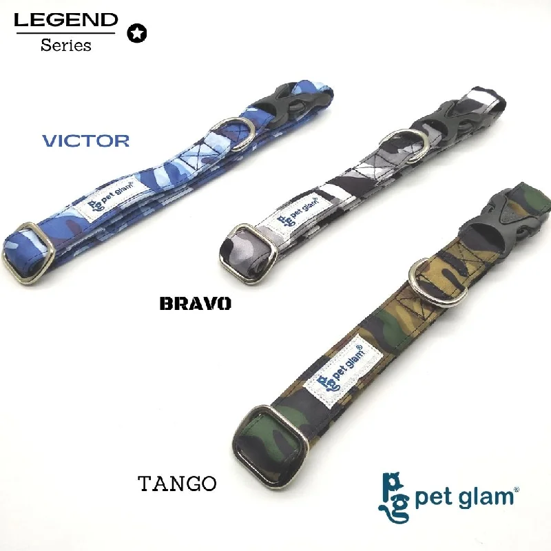 Pet Glam-Bravo-Dog Collar for Small-Medium Large Dogs