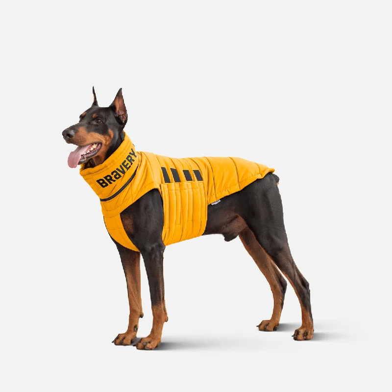 Winter Jacket for Dogs Bobby Bravery Yellow