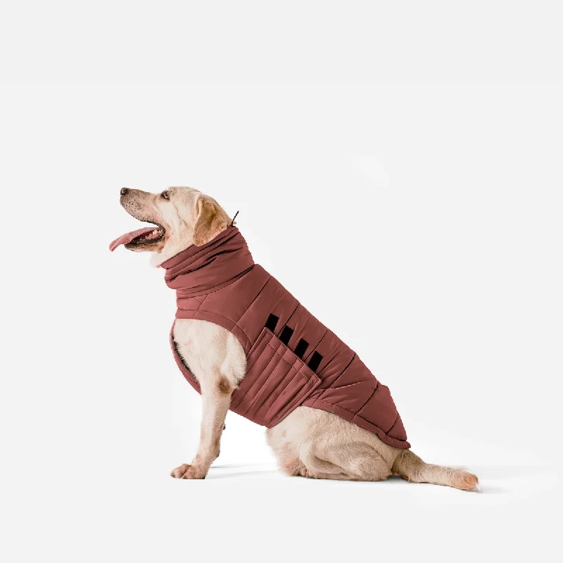 Winter Jacket for Dogs Bobby Terracotta