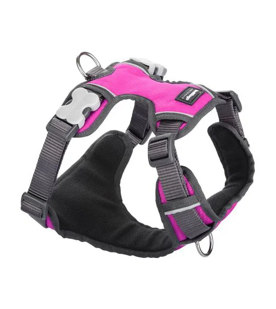 Red Dingo Padded Dog Harness (Hot Pink)