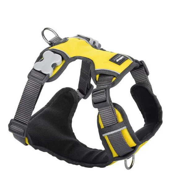 Red Dingo Padded Dog Harness (Yellow)