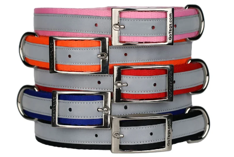 Reflective Dog Collar with Metal Buckle