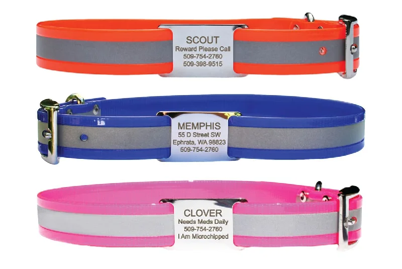 Reflective Waterproof Dog Collar with Personalized Slide-On Nameplate