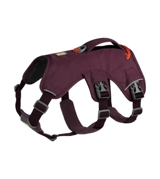 Ruffwear Web Master™ Dog Harness with Handle (Purple Rain)